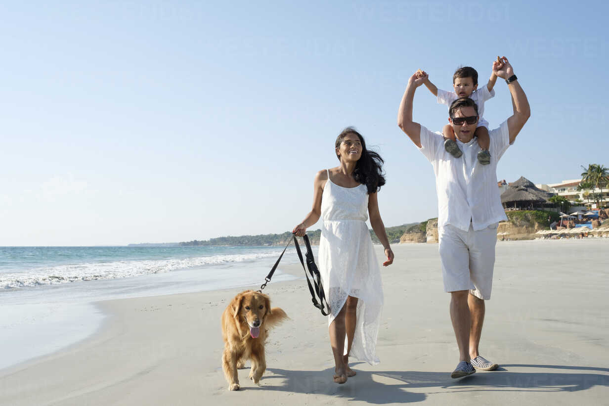 Beach Safety Tips: How to Keep Your Dog Safe at the Beach?