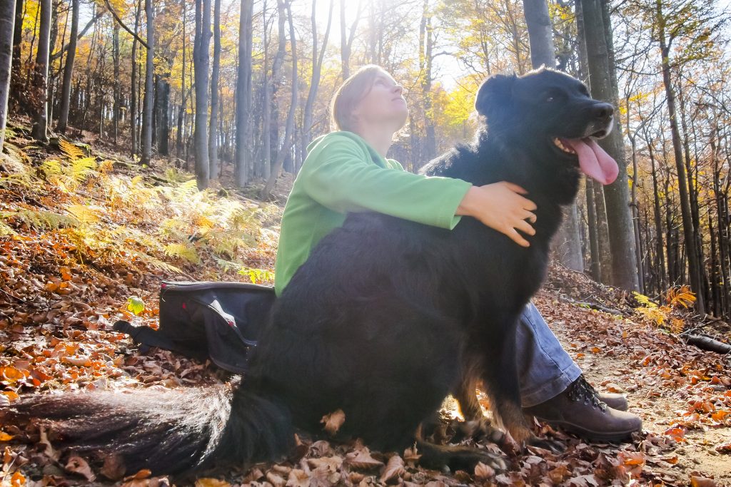 Pet in Peace: Planning a Dog Funeral Service