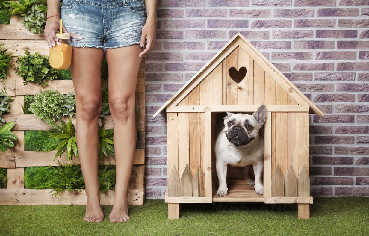 DIY Indoor Dog Kennel Anyone Can Build