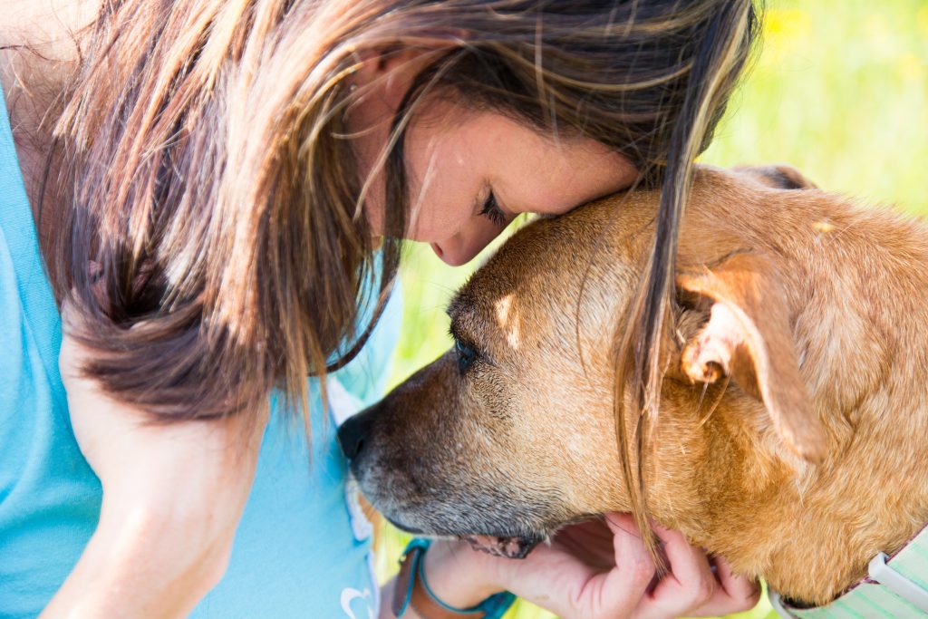 Comforting Bible Verses for the Loss of a Beloved Pet Paws Wings And Fins