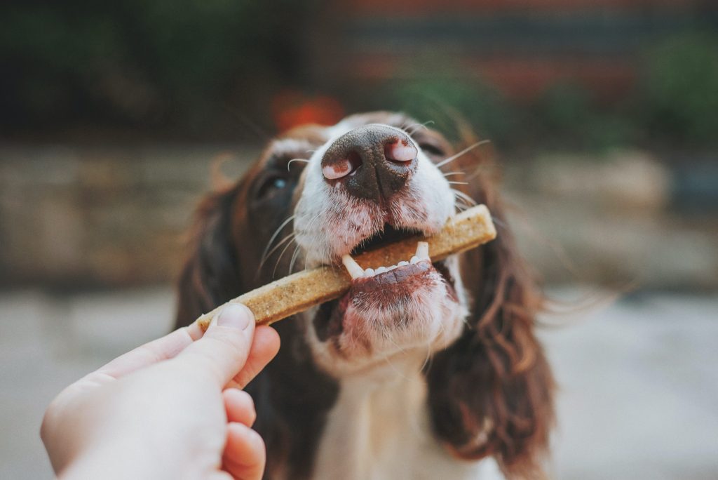 pet