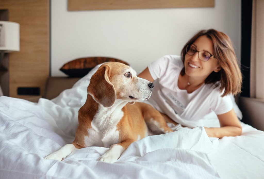 Explore the Best Pet-Friendly Hotels in Australia