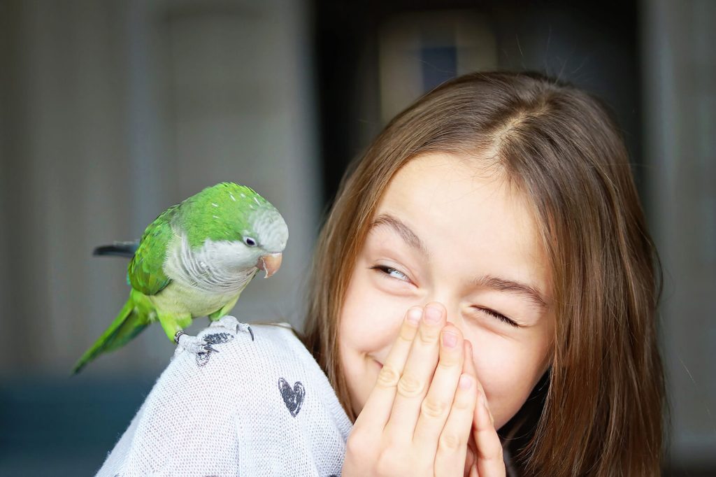 pet