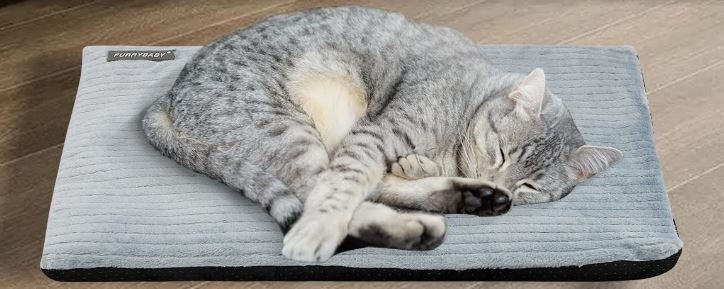 Heating Pads for Cats