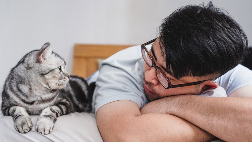 Cat Allergies: Causes, Symptoms, and Management